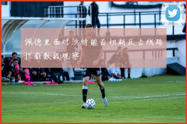 佩德里面对沙特能否切断反击线路拦截数据观察