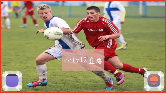 cctv12直播