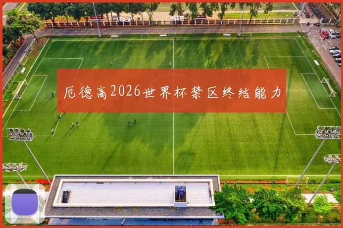 厄德高2026世界杯禁区终结能力