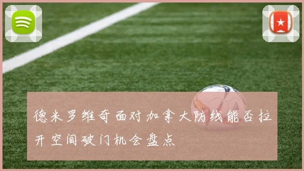 德米罗维奇面对加拿大防线能否拉开空间破门机会盘点