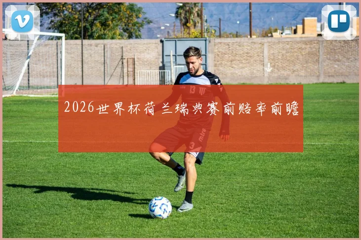 2026世界杯荷兰瑞典赛前赔率前瞻
