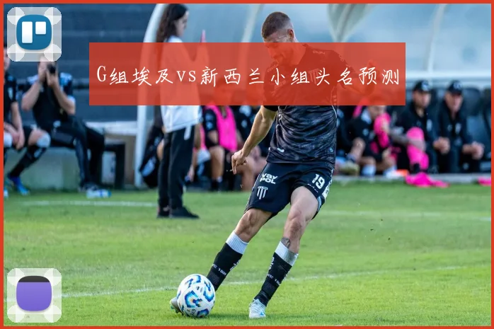 G组埃及vs新西兰小组头名预测